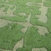 Louis De Poortere rug LX 9202 Structures Baobab Perrier Green zoom 3