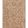 Nourison rug Sahar SHR01 RUST 5x8 099446025708