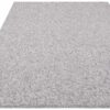 Asiatic rug Boden Grey 1