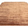 Asiatic rug Gleam Terracotta 3D