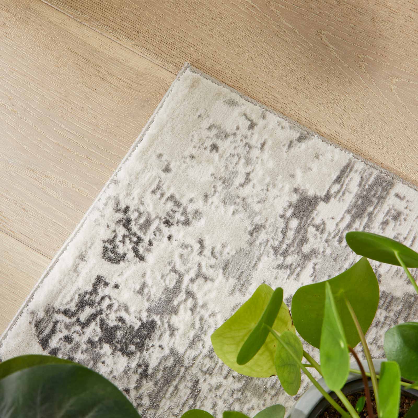 Concept Looms rug Olivia OLI105 GREY interior 3
