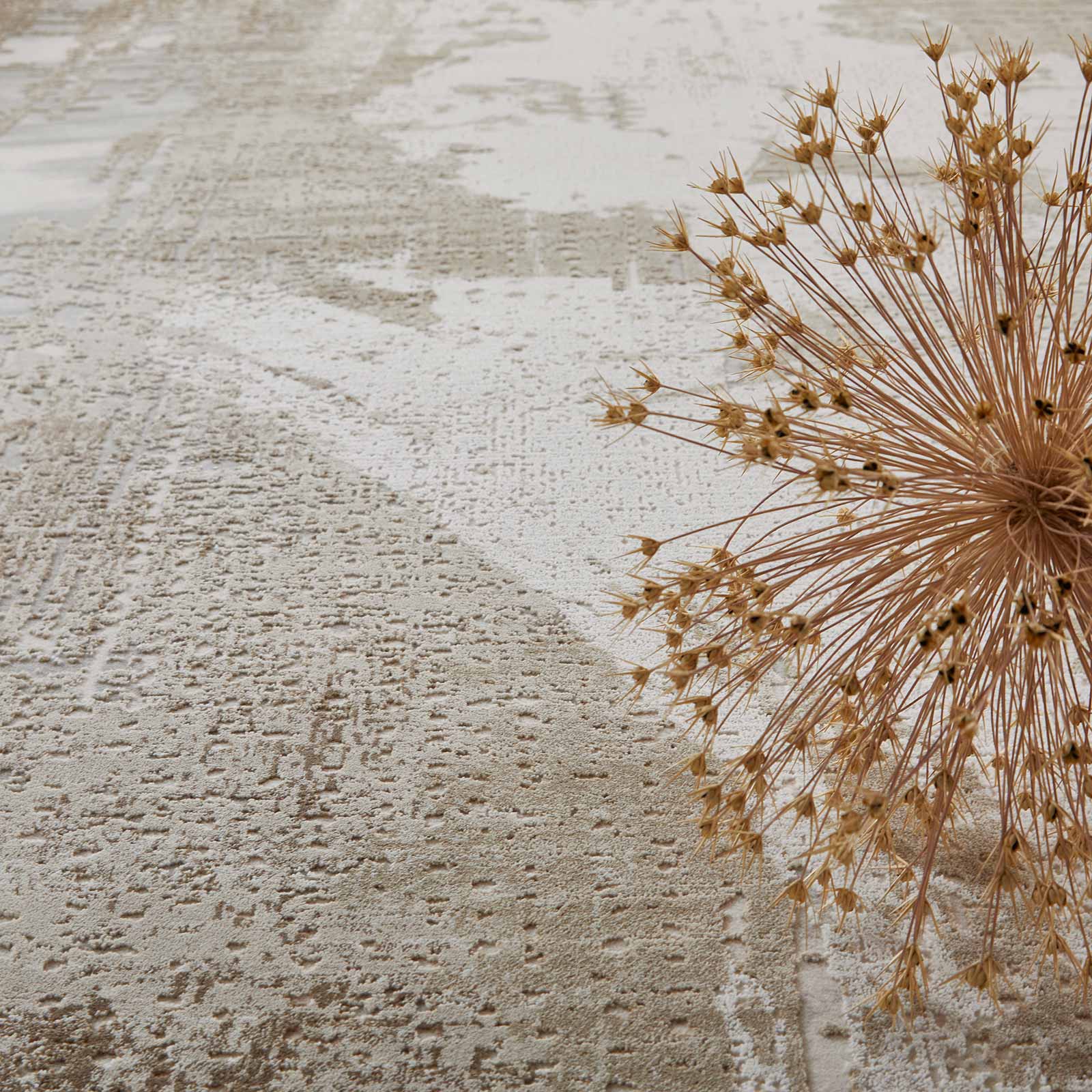 Concept Looms rug Skyline SK103 IVORY BEIGE 320x240cm 9