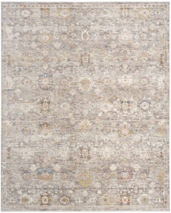 Nourison rug Antique Fusion ANF05 GREY 5x8 841491157954