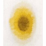 Louis De Poortere Rug, Meditation Gold Moss 2100, Drop design